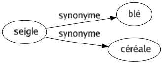 Synonyme de Seigle : Blé Céréale 