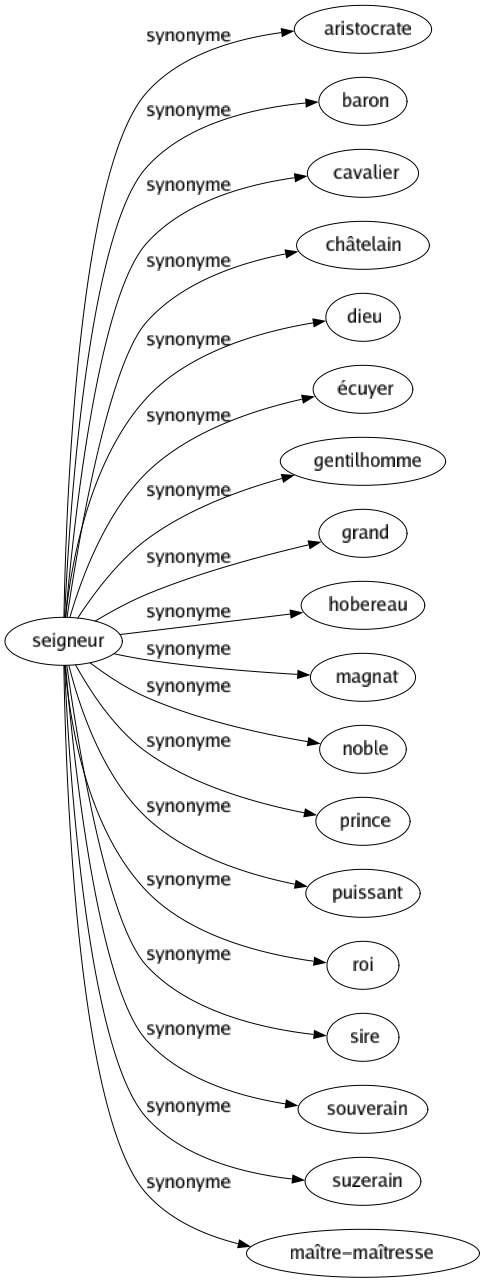 Synonyme de Seigneur : Aristocrate Baron Cavalier Châtelain Dieu Écuyer Gentilhomme Grand Hobereau Magnat Noble Prince Puissant Roi Sire Souverain Suzerain Maître-maîtresse 