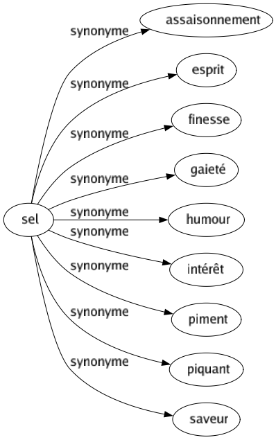 Synonyme de Sel : Assaisonnement Esprit Finesse Gaieté Humour Intérêt Piment Piquant Saveur 