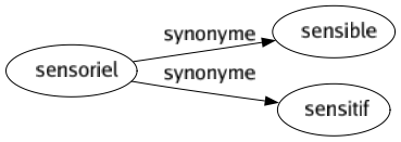 Synonyme de Sensoriel : Sensible Sensitif 