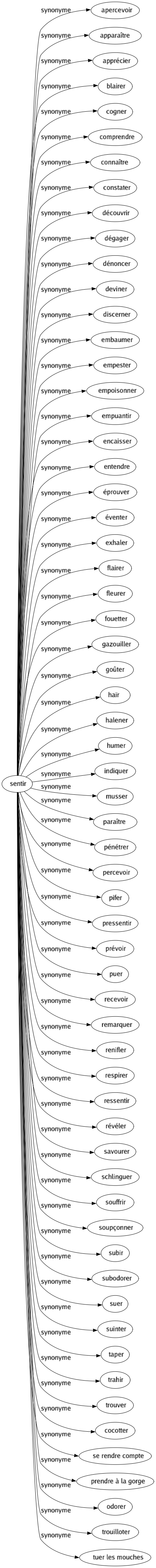 Synonyme de Sentir : Apercevoir Apparaître Apprécier Blairer Cogner Comprendre Connaître Constater Découvrir Dégager Dénoncer Deviner Discerner Embaumer Empester Empoisonner Empuantir Encaisser Entendre Éprouver Éventer Exhaler Flairer Fleurer Fouetter Gazouiller Goûter Haïr Halener Humer Indiquer Musser Paraître Pénétrer Percevoir Pifer Pressentir Prévoir Puer Recevoir Remarquer Renifler Respirer Ressentir Révéler Savourer Schlinguer Souffrir Soupçonner Subir Subodorer Suer Suinter Taper Trahir Trouver Cocotter Se rendre compte Prendre à la gorge Odorer Trouilloter Tuer les mouches 