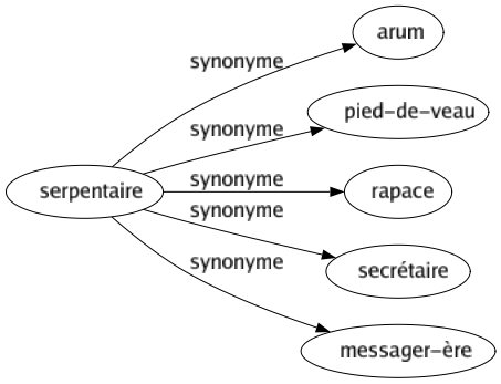 Synonyme de Serpentaire : Arum Pied-de-veau Rapace Secrétaire Messager-ère 