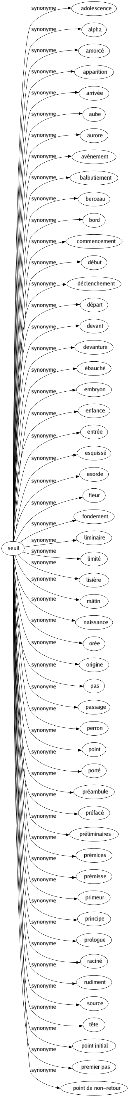 Synonyme de Seuil : Adolescence Alpha Amorcé Apparition Arrivée Aube Aurore Avènement Balbutiement Berceau Bord Commencement Début Déclenchement Départ Devant Devanture Ébauché Embryon Enfance Entrée Esquissé Exorde Fleur Fondement Liminaire Limité Lisière Mâtin Naissance Orée Origine Pas Passage Perron Point Porté Préambule Préfacé Préliminaires Prémices Prémisse Primeur Principe Prologue Raciné Rudiment Source Tête Point initial Premier pas Point de non-retour 