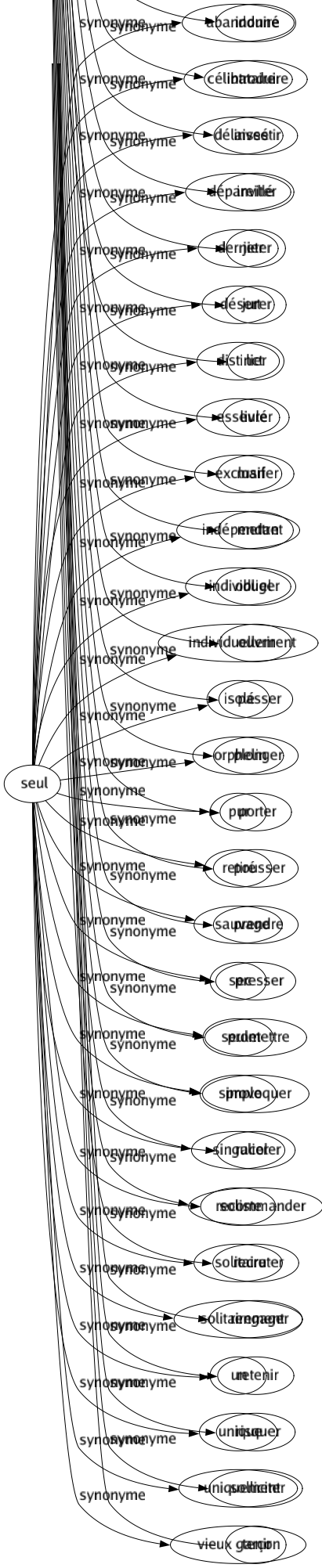 Synonyme de Seul : Abandonné Célibataire Délaissé Dépareillé Dernier Désert Distinct Esseulé Exclusif Indépendant Individuel Individuellement Isolé Orphelin Pur Retiré Sauvage Sec Seulet Simple Singulier Soliste Solitaire Solitairement Un Unique Uniquement Vieux garçon 
