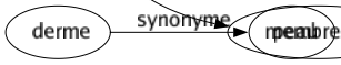 Synonyme de Sexe : Bas-ventre Chatte Clitoris Con Cul Féminité Minette Minou Nature Parties Pénis Phallus Queue Vagin Vergé Virilité Vulve Zizi Foufoune Membre viril 