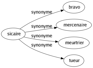 Synonyme de Sicaire : Bravo Mercenaire Meurtrier Tueur 