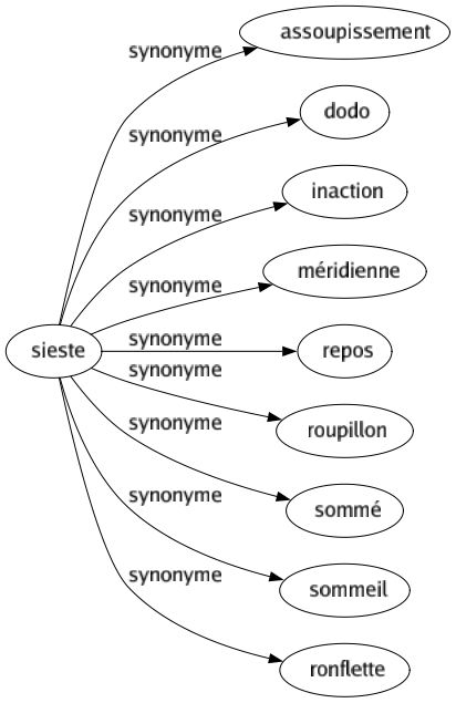 Synonyme de Sieste : Assoupissement Dodo Inaction Méridienne Repos Roupillon Sommé Sommeil Ronflette 