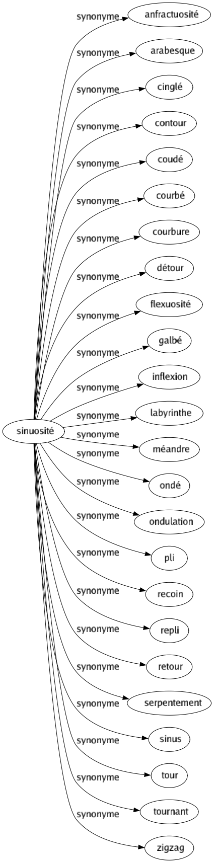 Synonyme de Sinuosité : Anfractuosité Arabesque Cinglé Contour Coudé Courbé Courbure Détour Flexuosité Galbé Inflexion Labyrinthe Méandre Ondé Ondulation Pli Recoin Repli Retour Serpentement Sinus Tour Tournant Zigzag 