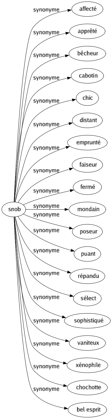 Synonyme de Snob : Affecté Apprêté Bêcheur Cabotin Chic Distant Emprunté Faiseur Fermé Mondain Poseur Puant Répandu Sélect Sophistiqué Vaniteux Xénophile Chochotte Bel esprit 