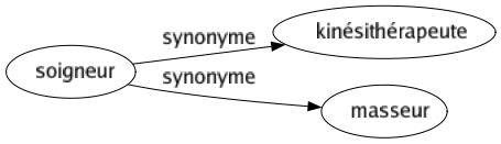Synonyme de Soigneur : Kinésithérapeute Masseur 