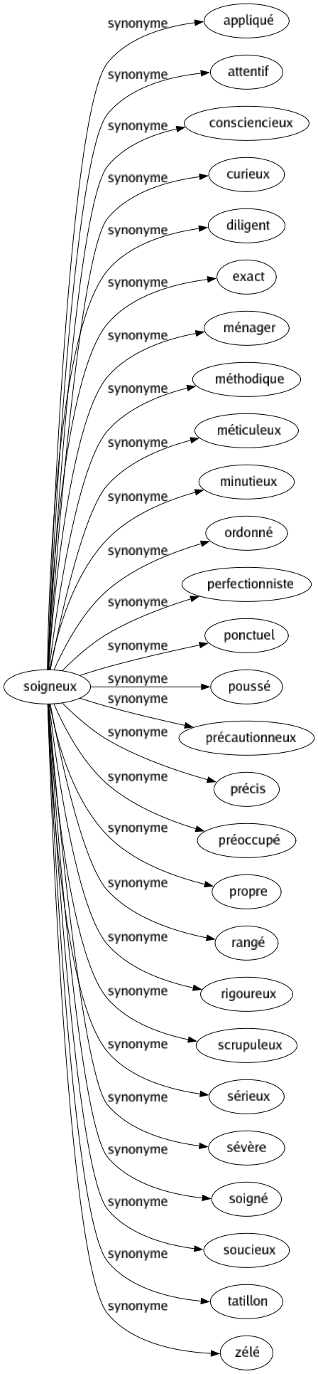 Synonyme de Soigneux : Appliqué Attentif Consciencieux Curieux Diligent Exact Ménager Méthodique Méticuleux Minutieux Ordonné Perfectionniste Ponctuel Poussé Précautionneux Précis Préoccupé Propre Rangé Rigoureux Scrupuleux Sérieux Sévère Soigné Soucieux Tatillon Zélé 