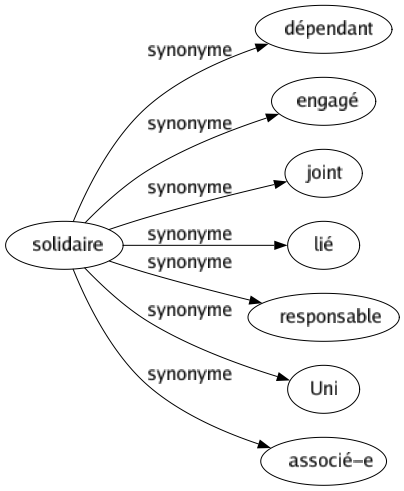 Synonyme de Solidaire : Dépendant Engagé Joint Lié Responsable Uni Associé-e 