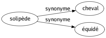 Synonyme de Solipède : Cheval Équidé 