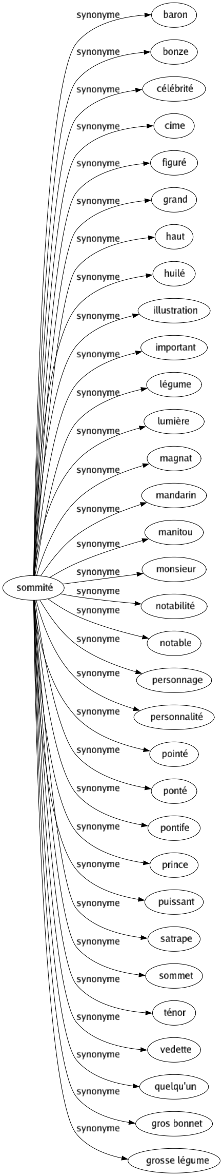 Synonyme de Sommité : Baron Bonze Célébrité Cime Figuré Grand Haut Huilé Illustration Important Légume Lumière Magnat Mandarin Manitou Monsieur Notabilité Notable Personnage Personnalité Pointé Ponté Pontife Prince Puissant Satrape Sommet Ténor Vedette Quelqu'un Gros bonnet Grosse légume 