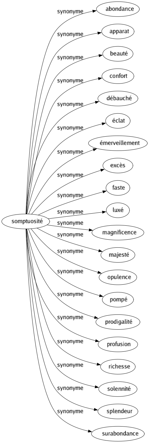 Synonyme de Somptuosité : Abondance Apparat Beauté Confort Débauché Éclat Émerveillement Excès Faste Luxé Magnificence Majesté Opulence Pompé Prodigalité Profusion Richesse Solennité Splendeur Surabondance 