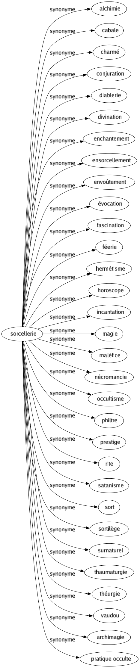 Synonyme de Sorcellerie : Alchimie Cabale Charmé Conjuration Diablerie Divination Enchantement Ensorcellement Envoûtement Évocation Fascination Féerie Hermétisme Horoscope Incantation Magie Maléfice Nécromancie Occultisme Philtre Prestige Rite Satanisme Sort Sortilège Surnaturel Thaumaturgie Théurgie Vaudou Archimagie Pratique occulte 
