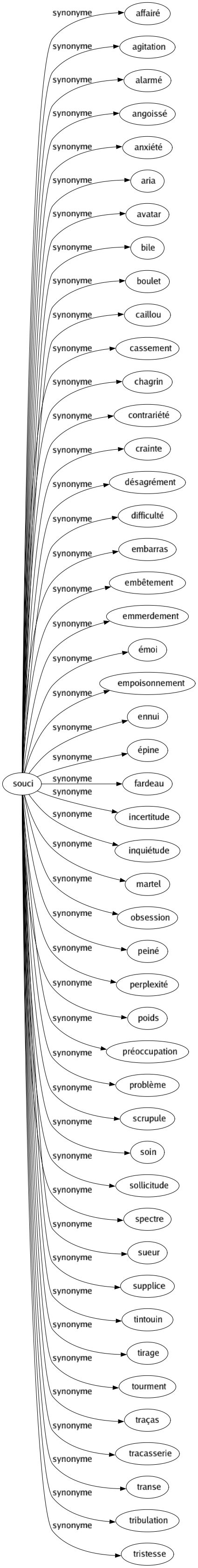 Synonyme de Souci : Affairé Agitation Alarmé Angoissé Anxiété Aria Avatar Bile Boulet Caillou Cassement Chagrin Contrariété Crainte Désagrément Difficulté Embarras Embêtement Emmerdement Émoi Empoisonnement Ennui Épine Fardeau Incertitude Inquiétude Martel Obsession Peiné Perplexité Poids Préoccupation Problème Scrupule Soin Sollicitude Spectre Sueur Supplice Tintouin Tirage Tourment Traças Tracasserie Transe Tribulation Tristesse 
