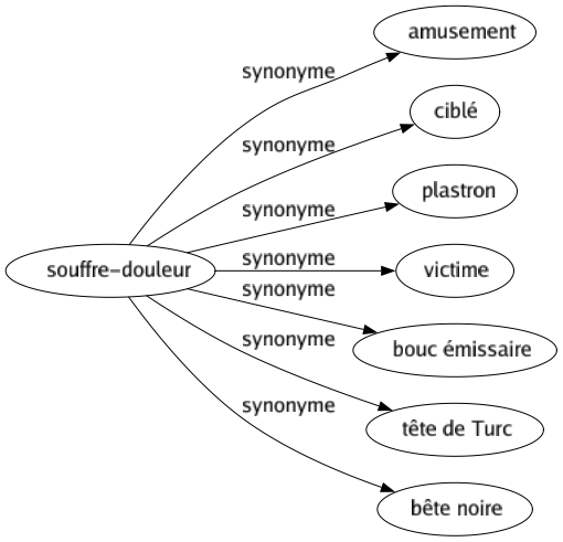 Synonyme de Souffre-douleur : Amusement Ciblé Plastron Victime Bouc émissaire Tête de turc Bête noire 