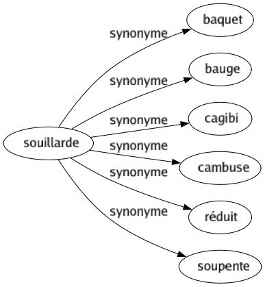 Synonyme de Souillarde : Baquet Bauge Cagibi Cambuse Réduit Soupente 