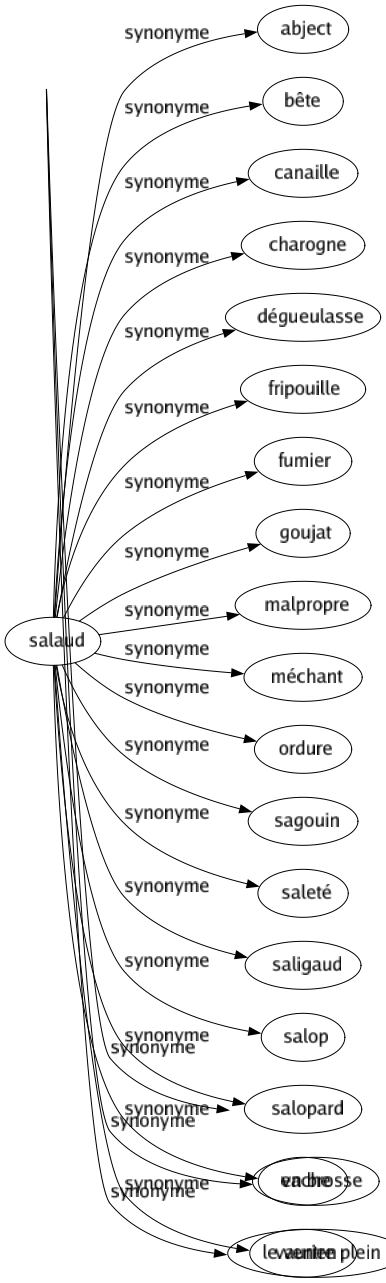 Synonyme de Soûl : Assouvi Beurré Biture Blindé Bourré Chargé Content Cuit Cuite Dégoûté Enivré Étourdi Gavé Gorgé Gris Grisé Ivre Mûr Noir Paf Pété Pinte Plein Pompette Rassasié Repu Rond Saturé Schlass Sursaturé Dans le brouillard Dans le cirage En brosse Le ventre plein 