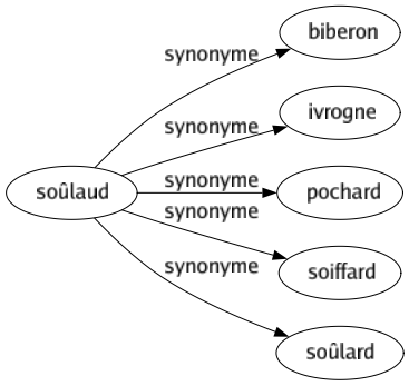 Synonyme de Soûlaud : Biberon Ivrogne Pochard Soiffard Soûlard 