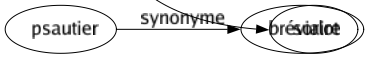 Synonyme de Soulier : Babouche Bateau Botté Bottine Brodequin Chausson Chaussure Escarpin Espadrille Galoche Godasse Godillot Grolle Mocassin Mule Pantoufle Patin Péniche Pompé Ribouis Richelieu Sabot Sandale Savate Snow-boot Socque Spartiate Tatane Cothurne Croquenot Écrase-merde Nu-pied Sorlot 