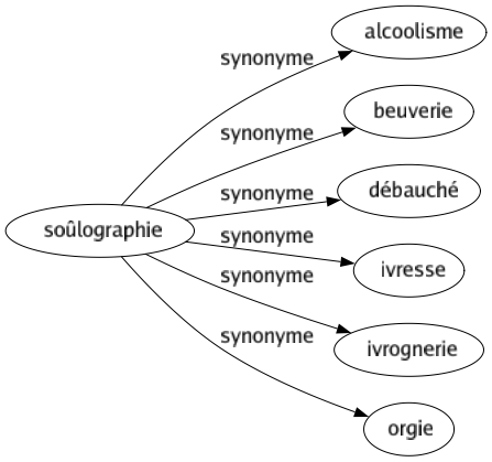 Synonyme de Soûlographie : Alcoolisme Beuverie Débauché Ivresse Ivrognerie Orgie 