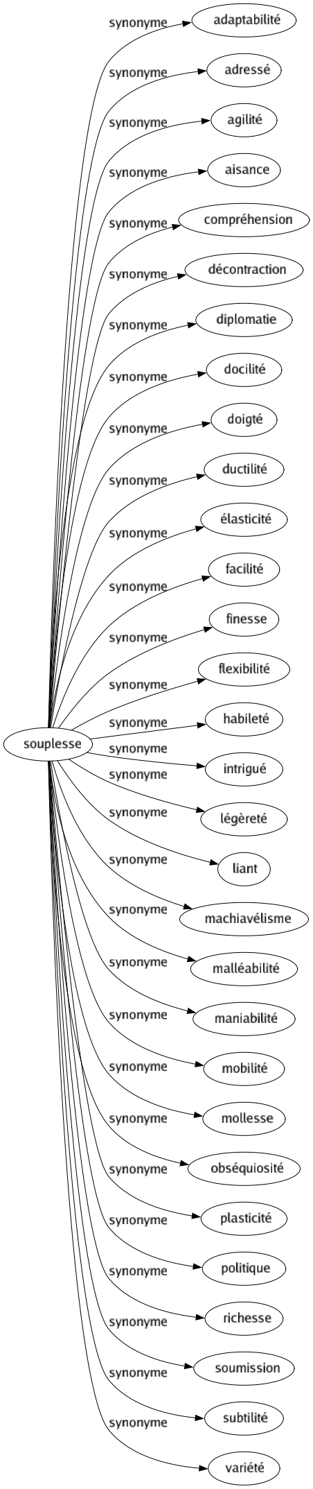 Synonyme de Souplesse : Adaptabilité Adressé Agilité Aisance Compréhension Décontraction Diplomatie Docilité Doigté Ductilité Élasticité Facilité Finesse Flexibilité Habileté Intrigué Légèreté Liant Machiavélisme Malléabilité Maniabilité Mobilité Mollesse Obséquiosité Plasticité Politique Richesse Soumission Subtilité Variété 