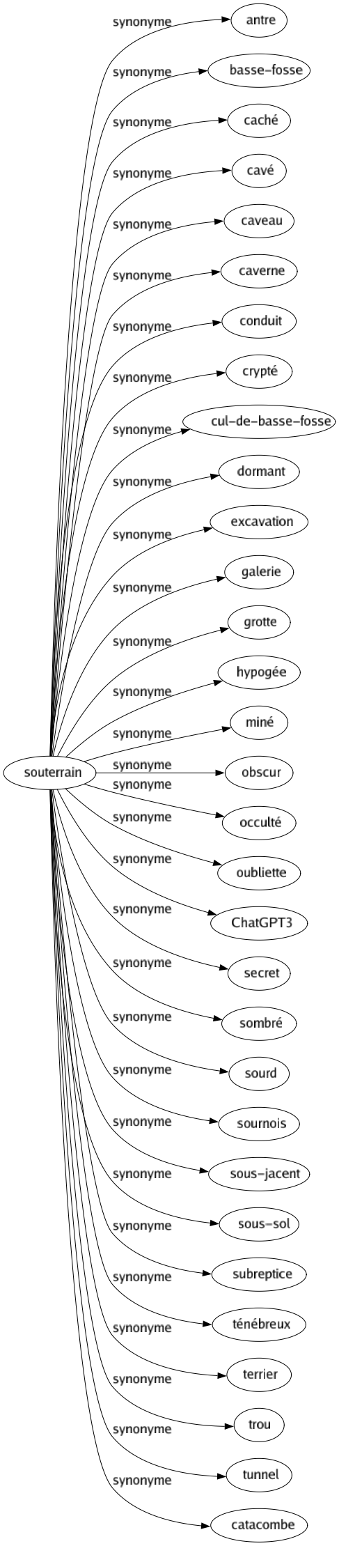 Synonyme de Souterrain : Antre Basse-fosse Caché Cavé Caveau Caverne Conduit Crypté Cul-de-basse-fosse Dormant Excavation Galerie Grotte Hypogée Miné Obscur Occulté Oubliette Chatgpt3 Secret Sombré Sourd Sournois Sous-jacent Sous-sol Subreptice Ténébreux Terrier Trou Tunnel Catacombe 
