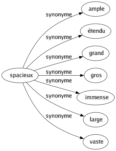 Synonyme de Spacieux : Ample Étendu Grand Gros Immense Large Vaste 