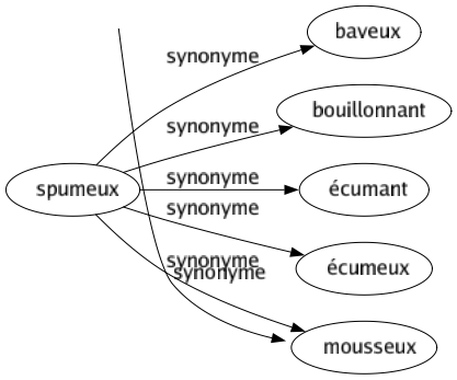 Synonyme de Spumeux : Baveux Bouillonnant Écumant Écumeux Mousseux 