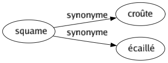 Synonyme de Squame : Croûte Écaillé 