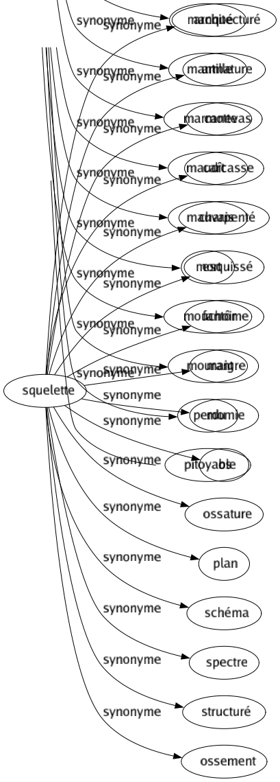 Synonyme de Squelette : Architecturé Armature Canevas Carcasse Charpenté Esquissé Fantôme Maigre Momie Os Ossature Plan Schéma Spectre Structuré Ossement 