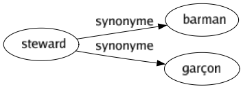Synonyme de Steward : Barman Garçon 