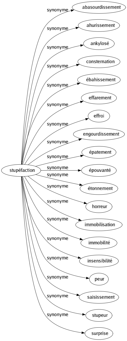 Synonyme de Stupéfaction : Abasourdissement Ahurissement Ankylosé Consternation Ébahissement Effarement Effroi Engourdissement Épatement Épouvanté Étonnement Horreur Immobilisation Immobilité Insensibilité Peur Saisissement Stupeur Surprise 