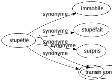 Synonyme de Stupéfié : Immobile Stupéfait Surpris Transi 