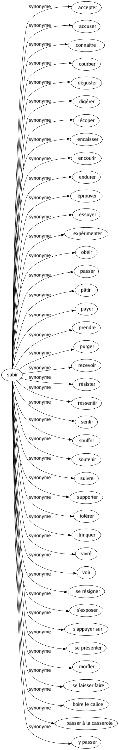 Synonyme de Subir : Accepter Accuser Connaître Courber Déguster Digérer Écoper Encaisser Encourir Endurer Éprouver Essuyer Expérimenter Obéir Passer Pâtir Payer Prendre Purger Recevoir Résister Ressentir Sentir Souffrir Soutenir Suivre Supporter Tolérer Trinquer Vivré Voir Se résigner S'exposer S'appuyer sur Se présenter Morfler Se laisser faire Boire le calice Passer à la casserole Y passer 