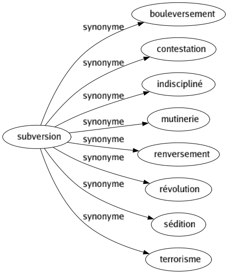 Synonyme de Subversion : Bouleversement Contestation Indiscipliné Mutinerie Renversement Révolution Sédition Terrorisme 