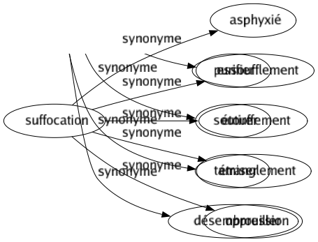 Synonyme de Suffocation : Asphyxié Essoufflement Étouffement Étranglement Oppression 