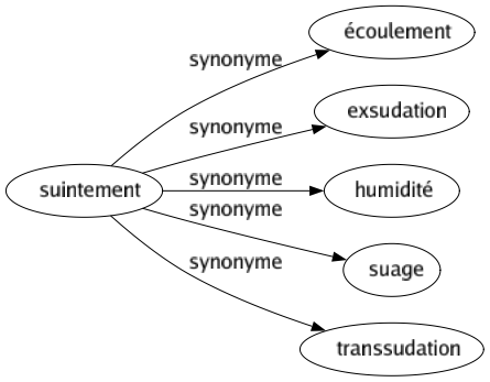 Synonyme de Suintement : Écoulement Exsudation Humidité Suage Transsudation 