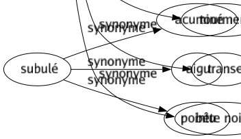 Synonyme de Supplice : Affliction Affres Angoissé Billot Bourreau Bûcher Calvaire Châtiment Crève-coeur Croix Crucifiement Damnation Déchirement Douleur Estrapade Exécution Géhenne Gêné Impatience Inquiétude Mal Martyre Mort Peiné Persécution Punition Question Souci Souffrance Torturé Tourment Transe Bête noire 
