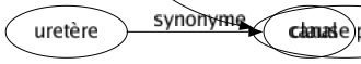 Synonyme de Sûreté : Abri Acuité Assurance Cachette Cadenas Caution Certitude Clairvoyance Cran Dédit Dépôt Fermeté Fidélité Forcé Gagé Garant Garantie Hypothéqué Infaillibilité Justesse Lucidité Nantissement Ordre Policé Précaution Précision Sécurité Serrure Sincérité Solidité Clause pénale 