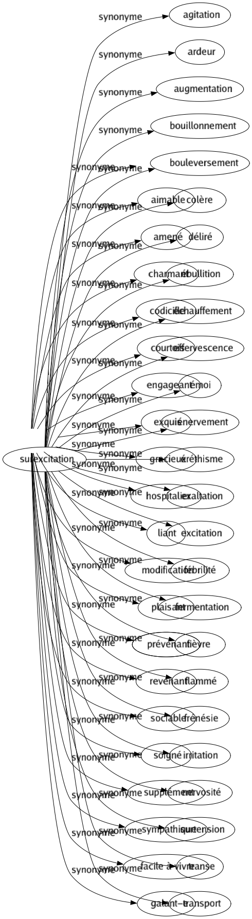 Synonyme de Surexcitation : Agitation Ardeur Augmentation Bouillonnement Bouleversement Colère Déliré Ébullition Échauffement Effervescence Émoi Énervement Éréthisme Exaltation Excitation Fébrilité Fermentation Fièvre Flammé Frénésie Irritation Nervosité Surtension Transe Transport 
