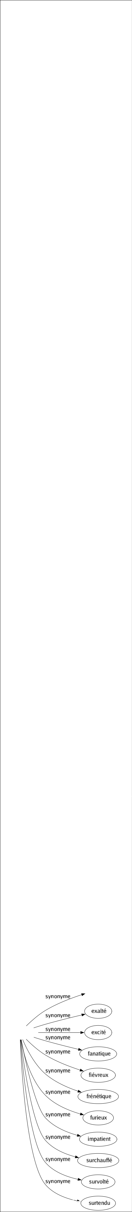 Synonyme de Surexcité : Délirant Effervescent Électrique Ému Énervé Enflammé Enragé Exalté Excité Fanatique Fiévreux Frénétique Furieux Impatient Surchauffé Survolté Surtendu 