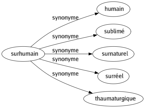 Synonyme de Surhumain : Humain Sublimé Surnaturel Surréel Thaumaturgique 