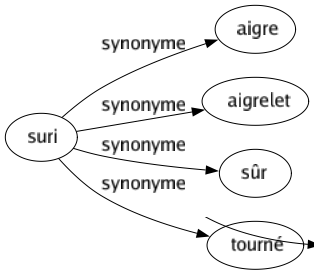 Synonyme de Suri : Aigre Aigrelet Sûr Tourné 