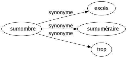 Synonyme de Surnombre : Excès Surnuméraire Trop 