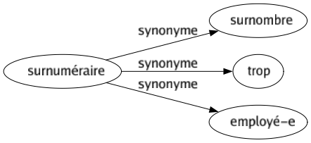 Synonyme de Surnuméraire : Surnombre Trop Employé-e 