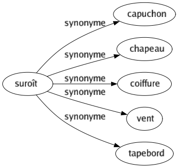 Synonyme de Suroît : Capuchon Chapeau Coiffure Vent Tapebord 