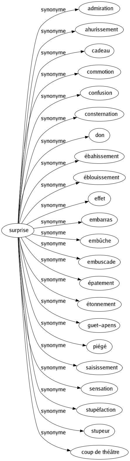 Synonyme de Surprise : Admiration Ahurissement Cadeau Commotion Confusion Consternation Don Ébahissement Éblouissement Effet Embarras Embûche Embuscade Épatement Étonnement Guet-apens Piégé Saisissement Sensation Stupéfaction Stupeur Coup de théâtre 
